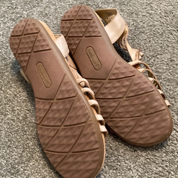 Bare traps - Picture 4 of 8